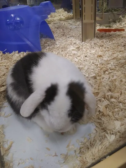 Pet Supermarket 12
