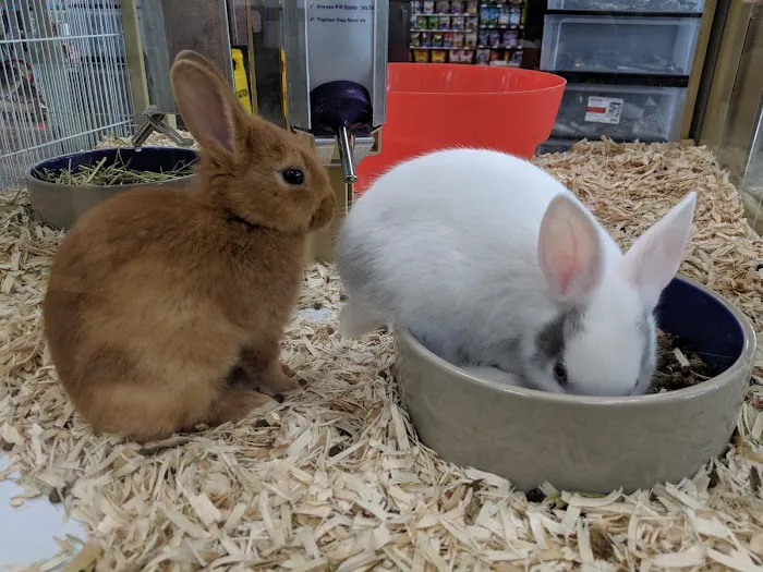 Pet Supermarket 12