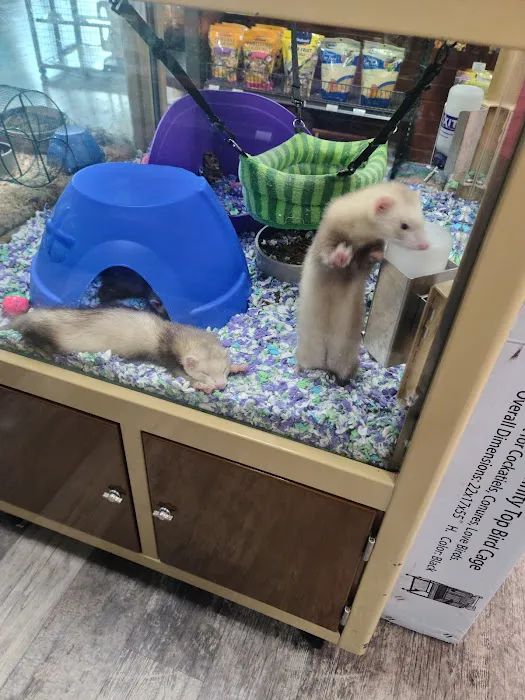 Pet Supermarket 12