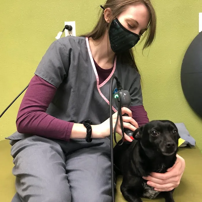 Healing Arts Animal Care 8