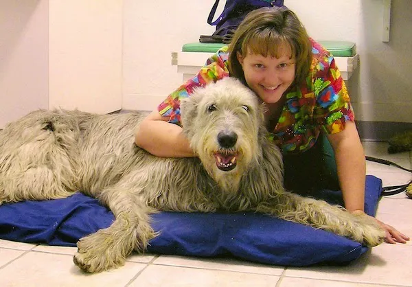 Healing Arts Animal Care 4