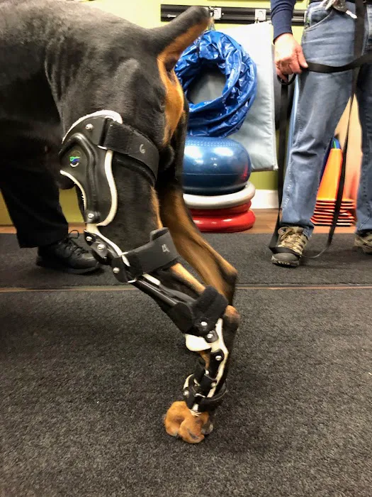 Healing Arts Animal Care 5