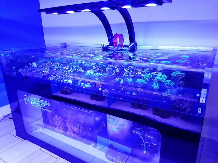 Aquarium Specialty 12