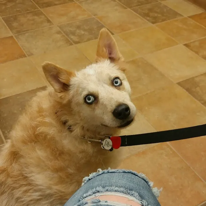 Banfield Pet Hospital 9