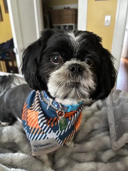 Banfield Pet Hospital 6