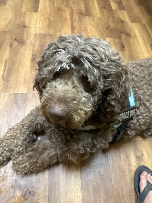 Hannah Pet Hospital and 24/7 Emergency Vet Clinic 3