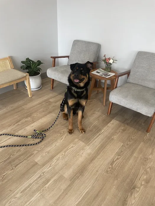 Nimbus Pet Hospital 8