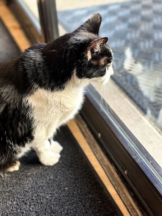 Nimbus Pet Hospital 5