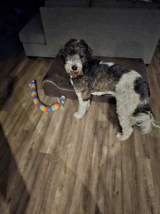Nimbus Pet Hospital 1