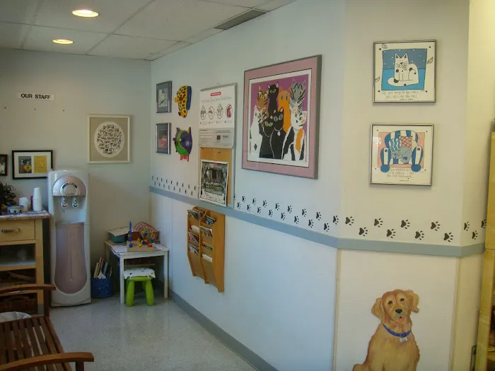 Sorrento Animal Hospital 1