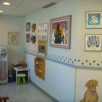 Sorrento Animal Hospital ico