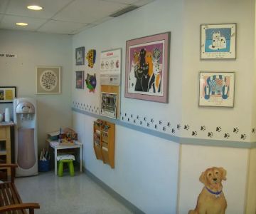 Sorrento Animal Hospital