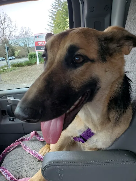 Banfield Pet Hospital 8
