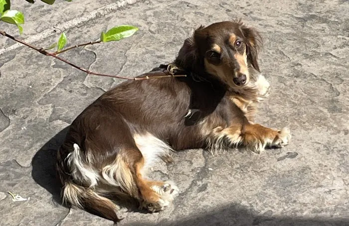 Banfield Pet Hospital 7
