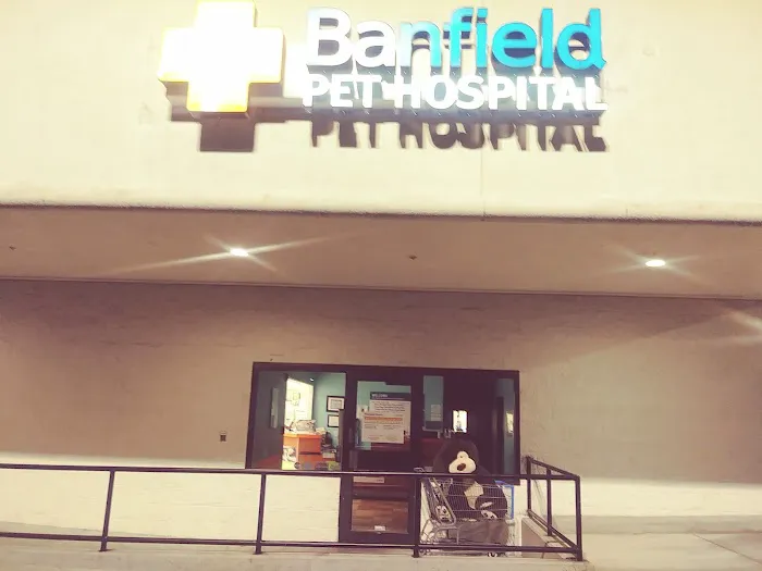 Banfield Pet Hospital 6