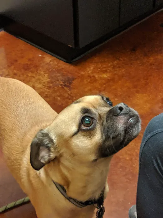 Cascade Veterinary Referral Center 3