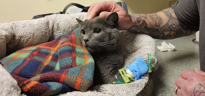 Cascade Veterinary Referral Center 9