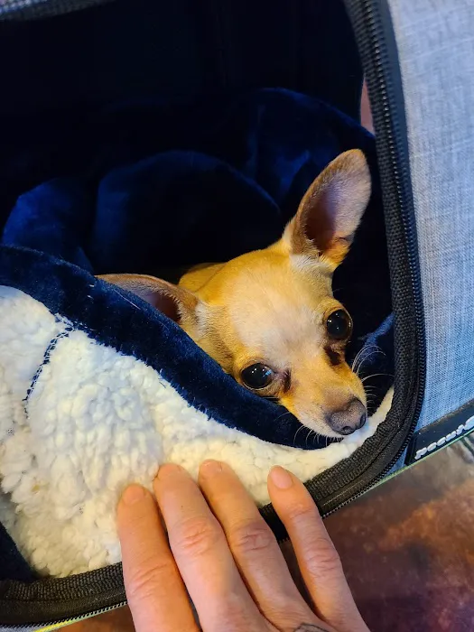 Cascade Veterinary Referral Center 5