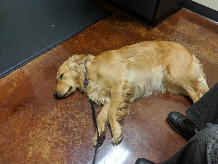 Cascade Veterinary Referral Center 2