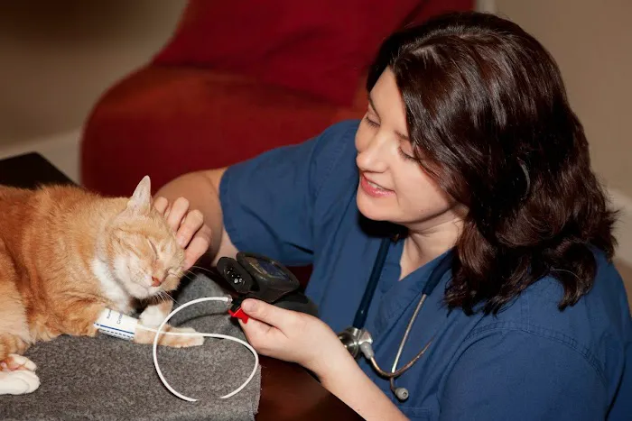 At Home Veterinary Services 1