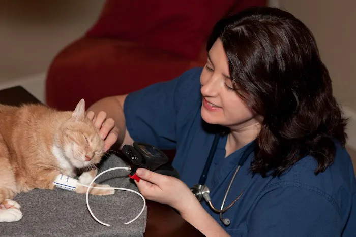 At Home Veterinary Services 3