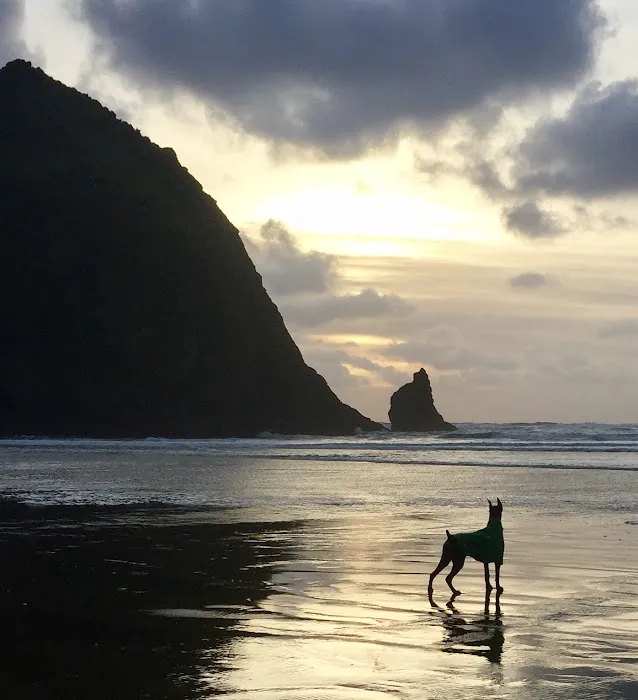 Aloha Animal Medical Center 9