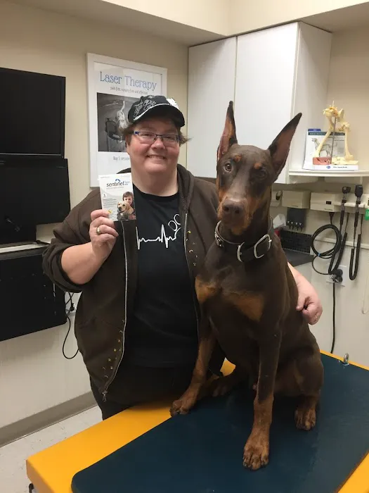 Aloha Animal Medical Center 8