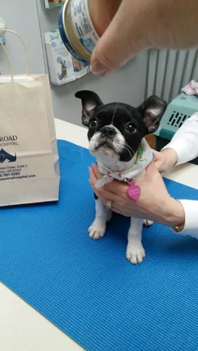Hart Road Animal Hospital 8