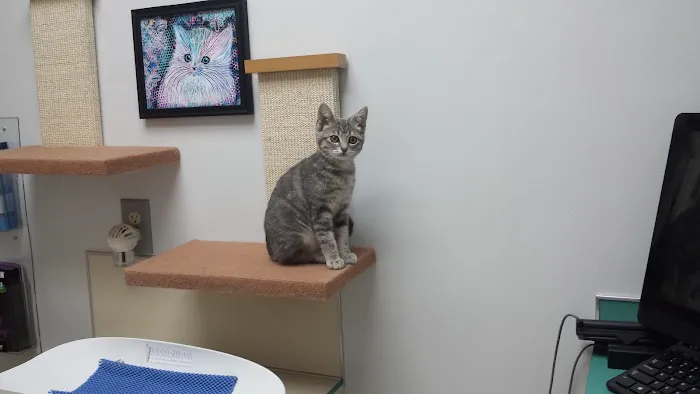 Hart Road Animal Hospital 6