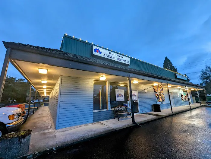Hart Road Animal Hospital 4