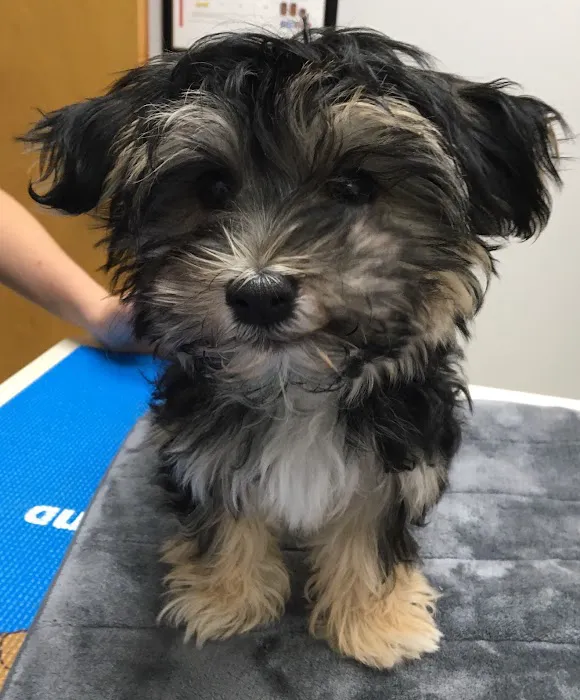 Hart Road Animal Hospital 10