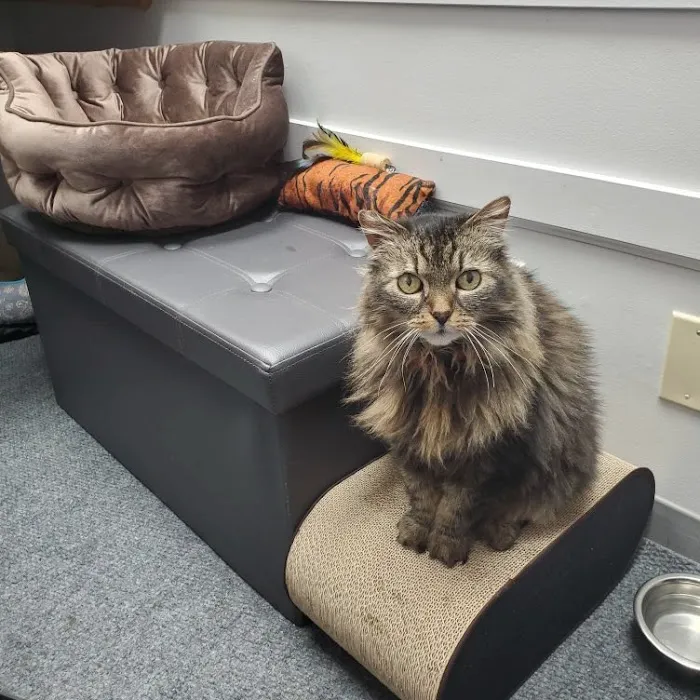 Hart Road Animal Hospital 7