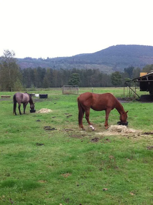 Cascade Equine Sports Medicine LLC. 12