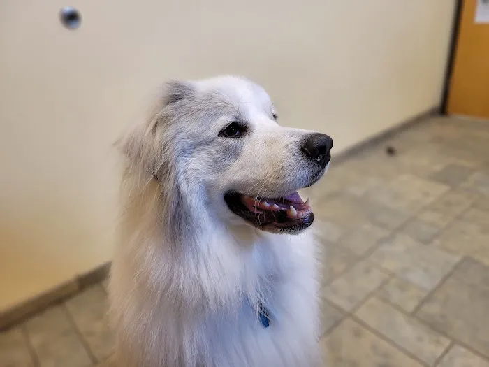 Wildwood Animal Hospital 5