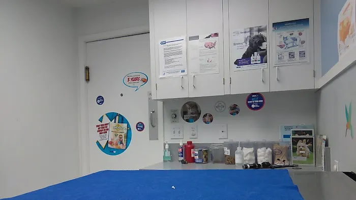 VCA 12-Mile Animal Hospital 10