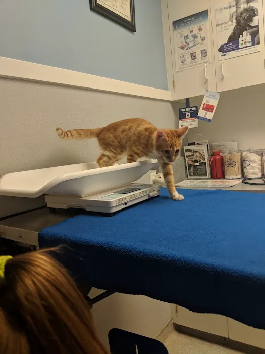 VCA 12-Mile Animal Hospital 3