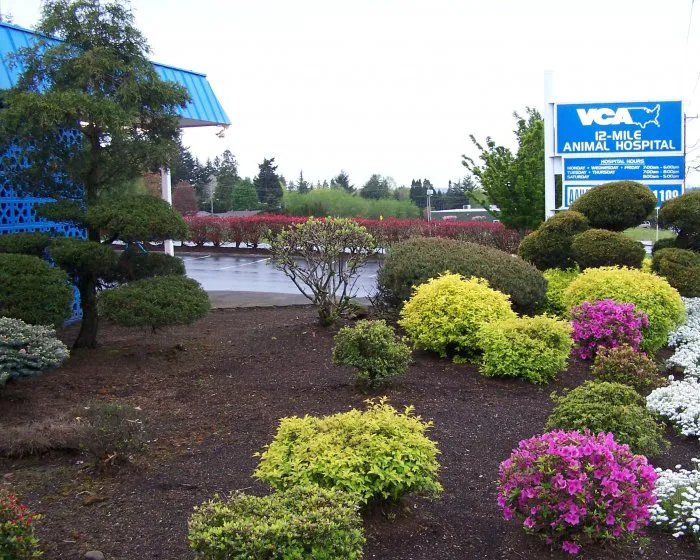 VCA 12-Mile Animal Hospital 6