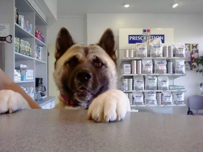 VCA 12-Mile Animal Hospital 8