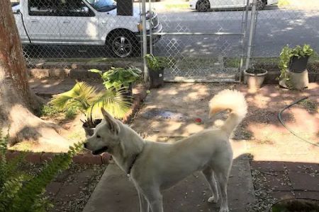 Animal Medical Clinic
