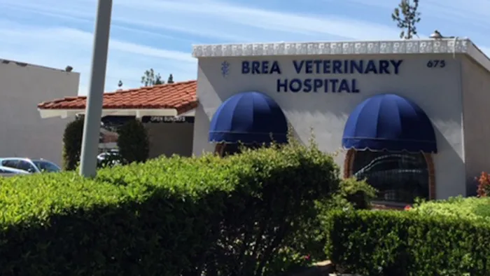 Brea Veterinary Hospital 12