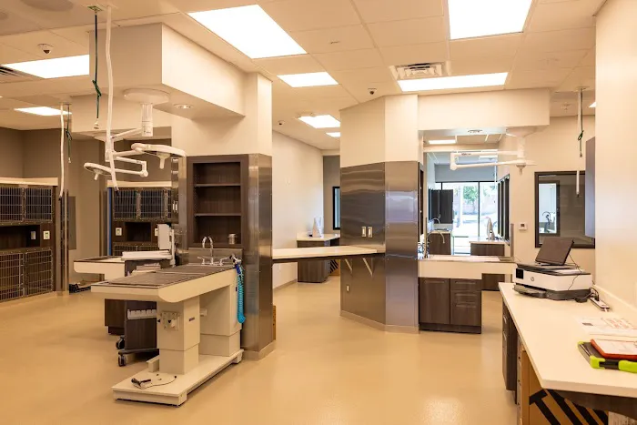 Brea Regional Animal Hospital 12