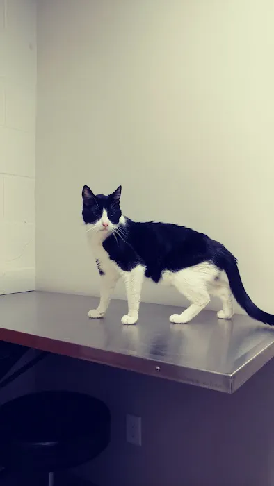 Yolinda Animal Hospital 12