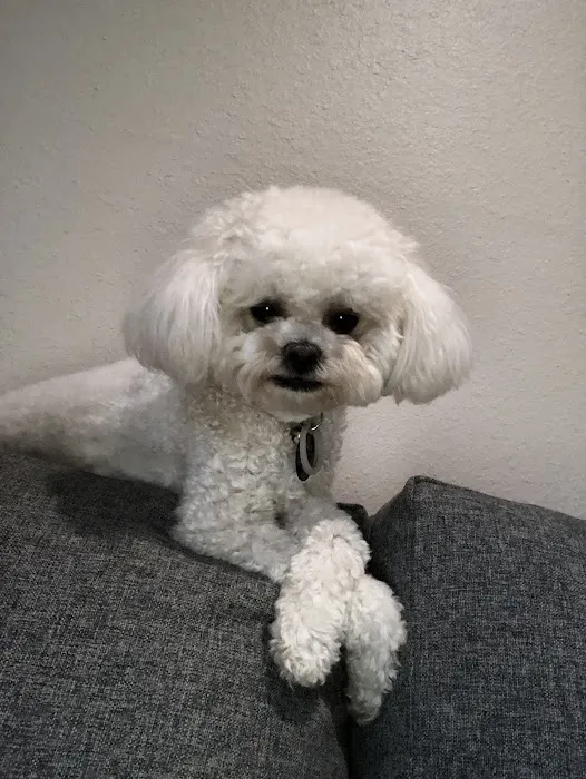 Banfield Pet Hospital 12
