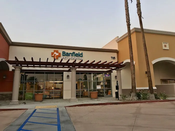 Banfield Pet Hospital 12