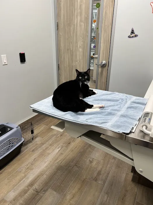 Aloha Veterinary Hospital 12