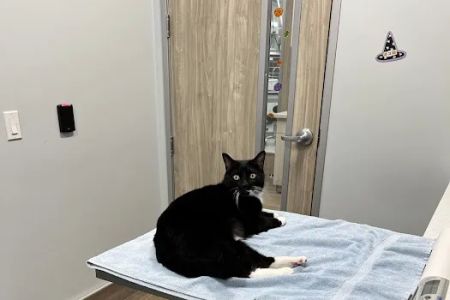 Aloha Veterinary Hospital