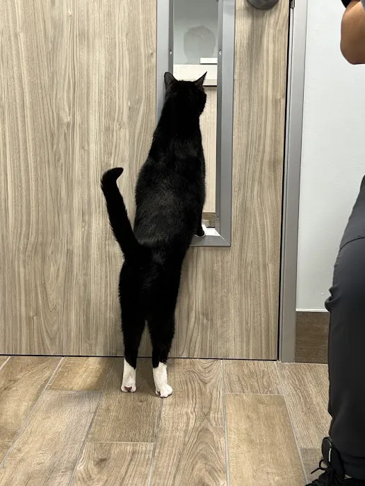 Aloha Veterinary Hospital 12