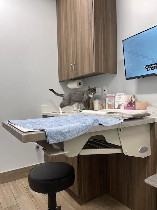 Aloha Veterinary Hospital 12