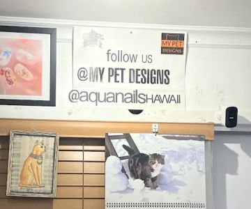 MY PET DESIGNS