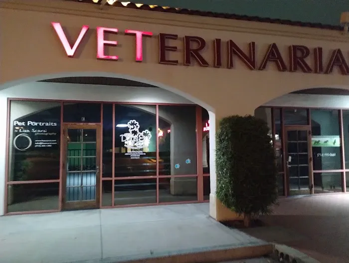 Founders Veterinary Clinic 12